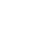 Plug-N-Play Icon